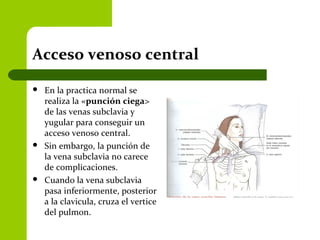 Acceso venoso central
 En la practica normal se
realiza la «punción ciega>
de las venas subclavia y
yugular para conseguir un
acceso venoso central.
 Sin embargo, la punción de
la vena subclavia no carece
de complicaciones.
 Cuando la vena subclavia
pasa inferiormente, posterior
a la clavicula, cruza el vertice
del pulmon.
 