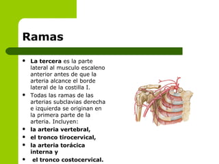 Ramas 
 La tercera es la parte
lateral al musculo escaleno
anterior antes de que la
arteria alcance el borde
lateral de la costilla I.
 Todas las ramas de las
arterias subclavias derecha
e izquierda se originan en
la primera parte de la
arteria. Incluyen:
 la arteria vertebral, 
 el tronco tirocervical, 
 la arteria torácica 
interna y
  el tronco costocervical. 
 