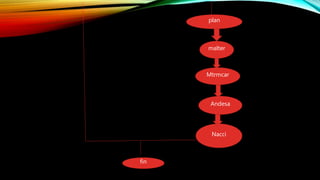 plan
malter
Mtrmcar
Andesa
Nacci
fin
 