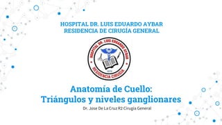 HOSPITAL DR. LUIS EDUARDO AYBAR
RESIDENCIA DE CIRUGÍA GENERAL
Anatomía de Cuello:
Triángulos y niveles ganglionares
Dr. Jose De La Cruz R2 Cirugia General
 
