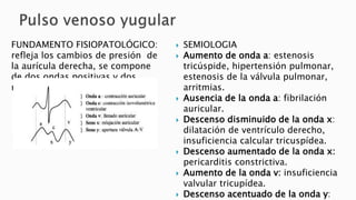 FUNDAMENTO FISIOPATOLÓGICO: 
refleja los cambios de presión de 
la aurícula derecha, se compone 
de dos ondas positivas y dos 
negativas: 
 SEMIOLOGIA 
 Aumento de onda a: estenosis 
tricúspide, hipertensión pulmonar, 
estenosis de la válvula pulmonar, 
arritmias. 
 Ausencia de la onda a: fibrilación 
auricular. 
 Descenso disminuido de la onda x: 
dilatación de ventrículo derecho, 
insuficiencia calcular tricuspídea. 
 Descenso aumentado de la onda x: 
pericarditis constrictiva. 
 Aumento de la onda v: insuficiencia 
valvular tricupídea. 
 Descenso acentuado de la onda y: 
