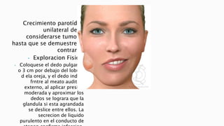 Crecimiento parotídeo 
unilateral debe 
considerarse tumoral 
hasta que se demuestre lo 
contrario. 
• Exploracion Fisica: 
• Coloquese el dedo pulgar, 2 
o 3 cm por debajo del lobulo 
d ela oreja, y el dedo indice 
frntre al meato auditivo 
externo, al aplicar presion 
moderada y aproximar los 
dedos se lograra que la 
glandula si esta agrandada 
se deslice entre ellos. La 
secrecion de liquido 
purulento en el conducto de 
stenon confirma infeccion. 
 