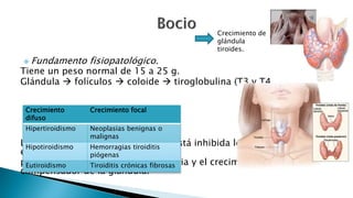Crecimiento de 
glándula 
tiroides. 
Fundamento fisiopatológico. 
Tiene un peso normal de 15 a 25 g. 
Glándula  folículos  coloide  tiroglobulina (T3 y T4). 
Crecimiento 
difuso 
Crecimiento focal 
Hipertiroidismo Neoplasias benignas o 
malignas 
La síntesis de hormonas tiroideas está inhibida lo que causa 
Hipotiroidismo Hemorragias tiroiditis 
estimulación 
piógenas 
por la hormona tirotrópica hipofisaria y el crecimiento 
Eutiroidismo Tiroiditis crónicas fibrosas 
compensador de la glándula. 
 