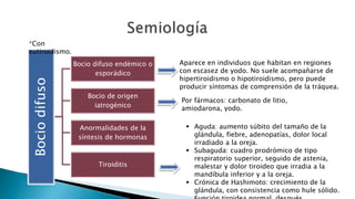 Bocio difuso 
Bocio difuso endémico o 
esporádico 
Bocio de origen 
iatrogénico 
Anormalidades de la 
síntesis de hormonas 
Tiroiditis 
Aparece en individuos que habitan en regiones 
con escasez de yodo. No suele acompañarse de 
hipertiroidismo o hipotiroidismo, pero puede 
producir síntomas de comprensión de la tráquea. 
Por fármacos: carbonato de litio, 
amiodarona, yodo. 
 Aguda: aumento súbito del tamaño de la 
glándula, fiebre, adenopatías, dolor local 
irradiado a la oreja. 
 Subaguda: cuadro prodrómico de tipo 
respiratorio superior, seguido de astenia, 
malestar y dolor tiroideo que irradia a la 
mandíbula inferior y a la oreja. 
 Crónica de Hashimoto: crecimiento de la 
glándula, con consistencia como hule sólido. 
Función tiroidea normal, después 
*Con 
eutiroidismo. 
 
