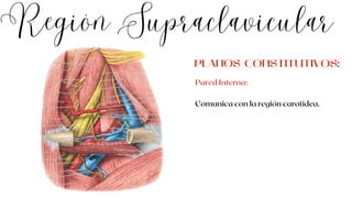 Región Supraclavicular
Pared Interna:
Comunica con la región carotidea.
PLANOS CONSTITUTIVOS:
 