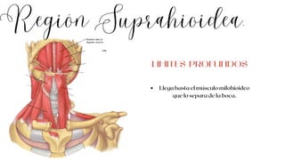 Región Suprahioidea.
Llega hasta el músculo milohioideo
que lo separa de la boca.
LIMITES PROFUNDOS
 