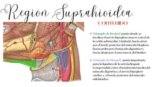 Región Suprahioidea.
Triángulo de Béclard. punto dónde se
localiza el nervio hipogloso mayor a nivel de
la celda submaxilar. Limitado, hacia atrás
por el borde posterior del músculo hiogloso,
hacia arriba por el músculo digástrico y
hacia abajo por el asta mayor del hioides.
Triángulo de Pirogoff. punto importante
para la ligadura de la arteria lingual.
Comprendido entre el tendón intermedio del
músculo digástrico, el nervio hipogloso
(arriba) y, el borde posterior del músculo
milohioideo.
CONTENIDO
 