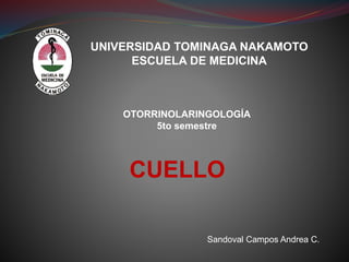 UNIVERSIDAD TOMINAGA NAKAMOTO
ESCUELA DE MEDICINA
OTORRINOLARINGOLOGÍA
5to semestre
CUELLO
Sandoval Campos Andrea C.
 