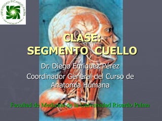 CLASE:
      SEGMENTO CUELLO
          Dr. Diego Enriquez Pérez
      Coordinador General del Curso de
              Anatomía Humana

Facultad de Medicina de la Universidad Ricardo Palma
 