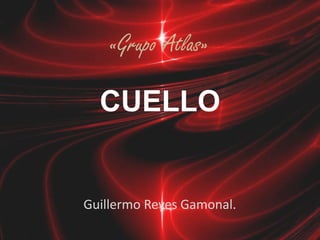 «Grupo Atlas»

  CUELLO


Guillermo Reyes Gamonal.
 