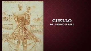 CUELLO
DR. SERGIO N PÁEZ
 
