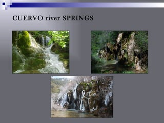 CUERVO river SPRINGS
 