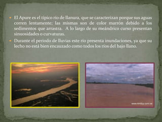  El Apure es el típico río de llanura, que se caracterizan porque sus aguas
corren lentamente; las mismas son de color marrón debido a los
sedimentos que arrastra. A lo largo de su meándrico curso presentan
sinuosidades o curvaturas.
 Durante el periodo de lluvias este río presenta inundaciones, ya que su
lecho no está bien encauzado como todos los ríos del bajo llano.
 