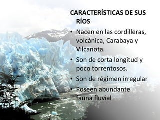 CARACTERÍSTICAS DE SUS 
RÍOS 
• Nacen en las cordilleras, 
volcánica, Carabaya y 
Vilcanota. 
• Son de corta longitud y 
poco torrentosos. 
• Son de régimen irregular 
• Poseen abundante 
fauna fluvial 
 