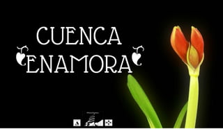 Cuencaenamora 2015 Presentación FITUR