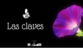 Cuencaenamora 2015 Presentación FITUR