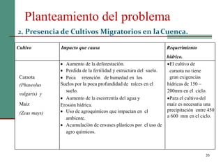 Planteamiento del problema
35
2. Presencia de Cultivos Migratorios en laCuenca.
Cultivo Impacto que causa Requerimiento
hídrico.
Caraota
(Phaseolus
vulgaris) y
Maíz
(Zeas mays)
 Aumento de la deforestación.
 Perdida de la fertilidad y estructura del suelo.
 Poca retención de humedad en los
Suelos por la poca profundidad de raíces en el
suelo.
 Aumento de la escorrentía del agua y
Erosión hídrica.
 Uso de agroquímicos que impactan en el
ambiente.
 Acumulación de envases plásticos por el uso de
agro químicos.
El cultivo de
caraota no tiene
gran exigencias
hídricas de 150 –
200mm en el ciclo.
Para el cultivo del
maíz es necesaria una
precipitación entre 450
a 600 mm en el ciclo.
 