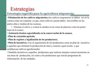 Estrategias
37
Estrategia sugerida para la agricultura migratoria:
Eliminación de los cultivos migratorios.:los cultivos migratorios se deben ver en la
cuenca como un conjunto, ya que, estos cultivos causan daños irreversibles en las
partes altas y medias de las cuencas,
 Eliminar el cultivo y evaluar la siembra en las zonas de planicies como las partes
bajas de la cuenca.
Asistencia técnica especializada en la conservación de la cuenca.
Plan de extensión agrícola.
Plan de registro y legalización de los productores.
Plan de incentivos. Con el seguimiento de los productores crear un plan de incentivo
a aquellos que eliminen la producción de maíz y caraota a gran escala y que
establezcan cultivos agroforestales.
También incentivos a aquellos productores que realicen manejos conservacionistas en
sus áreas de producción, así como a los productores que inicien programan de
reforestación de las unidades.
 
