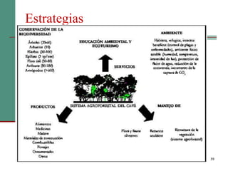 Estrategias
39
 