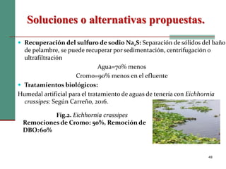 Soluciones o alternativas propuestas.
48
 Recuperación del sulfuro de sodio Na2S: Separación de sólidos del baño
de pelambre, se puede recuperar por sedimentación, centrifugación o
ultrafiltración
Agua=70% menos
Cromo=90% menos en el efluente
 Tratamientos biológicos:
Humedal artificial para el tratamiento de aguas de tenería con Eichhornia
crassipes: Según Carreño, 2016.
Fig.2. Eichhornia crassipes
Remociones de Cromo: 50%, Remoción de
DBO:60%
 