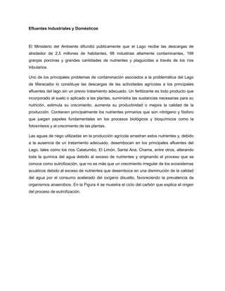 Efluentes Industriales y Domésticos
El Ministerio del Ambiente difundió públicamente que el Lago recibe las descargas de
alrededor de 2,5 millones de habitantes, 98 industrias altamente contaminantes, 198
granjas porcinas y grandes cantidades de nutrientes y plaguicidas a través de los ríos
tributarios.
Uno de los principales problemas de contaminación asociados a la problemática del Lago
de Maracaibo lo constituye las descargas de las actividades agrícolas a los principales
afluentes del lago sin un previo tratamiento adecuado. Un fertilizante es todo producto que
incorporado al suelo o aplicado a las plantas, suministra las sustancias necesarias para su
nutrición, estimula su crecimiento, aumenta su productividad o mejora la calidad de la
producción. Contienen principalmente los nutrientes primarios que son nitrógeno y fósforo
que juegan papeles fundamentales en los procesos biológicos y bioquímicos como la
fotosíntesis y el crecimiento de las plantas.
Las aguas de riego utilizadas en la producción agrícola arrastran estos nutrientes y, debido
a la ausencia de un tratamiento adecuado, desembocan en los principales afluentes del
Lago, tales como los ríos Catatumbo, El Limón, Santa Ana, Chama, entre otros, alterando
toda la química del agua debido al exceso de nutrientes y originando el proceso que se
conoce como eutrofización, que no es más que un crecimiento irregular de los ecosistemas
acuáticos debido al exceso de nutrientes que desemboca en una disminución de la calidad
del agua por el consumo acelerado del oxígeno disuelto, favoreciendo la prevalencia de
organismos anaerobios. En la Figura 4 se muestra el ciclo del carbón que explica el origen
del proceso de eutrofización.
 