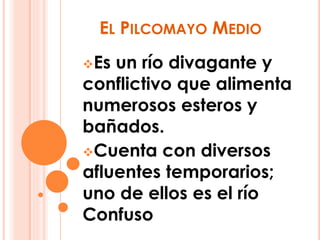 EL PILCOMAYO MEDIO 
Es un río divagante y 
conflictivo que alimenta 
numerosos esteros y 
bañados. 
Cuenta con diversos 
afluentes temporarios; 
uno de ellos es el río 
Confuso 
 
