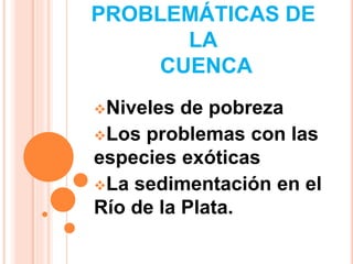 PROBLEMÁTICAS DE 
LA 
CUENCA 
Niveles de pobreza 
Los problemas con las 
especies exóticas 
La sedimentación en el 
Río de la Plata. 
 