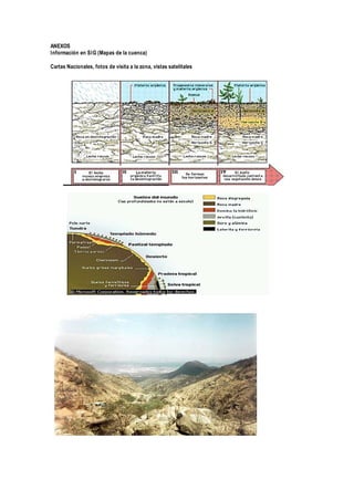 ANEXOS
Información en SIG (Mapas de la cuenca)
Cartas Nacionales, fotos de visita a la zona, vistas satelitales
 