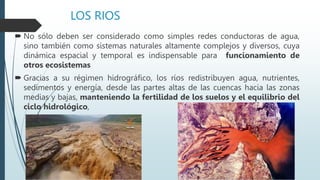 LOS RIOS
 No sólo deben ser considerado como simples redes conductoras de agua,
sino también como sistemas naturales altamente complejos y diversos, cuya
dinámica espacial y temporal es indispensable para funcionamiento de
otros ecosistemas
 Gracias a su régimen hidrográfico, los ríos redistribuyen agua, nutrientes,
sedimentos y energía, desde las partes altas de las cuencas hacia las zonas
medias y bajas, manteniendo la fertilidad de los suelos y el equilibrio del
ciclo hidrológico,
 