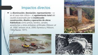 Impactos directos
 La disminución, desviación, represamiento —o
en el caso más crítico— el agotamiento total del
caudal ocasionado por la inadecuada
construcción, diseño y operación de obras
hidráulicas como presas, bordos, canales,
acueductos y otros embalses artificiales (Nilsson et
al., 2005; Jansson et al., 2000; Dynesius y Nilsson,
1994; Baxter, 1977).
 