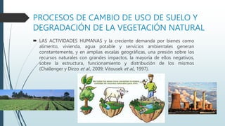 PROCESOS DE CAMBIO DE USO DE SUELO Y
DEGRADACIÓN DE LA VEGETACIÓN NATURAL
 LAS ACTIVIDADES HUMANAS y la creciente demanda por bienes como
alimento, vivienda, agua potable y servicios ambientales generan
constantemente, y en amplias escalas geográficas, una presión sobre los
recursos naturales con grandes impactos, la mayoría de ellos negativos,
sobre la estructura, funcionamiento y distribución de los mismos
(Challenger y Dirzo et al., 2009; Vitousek et al., 1997).
 
