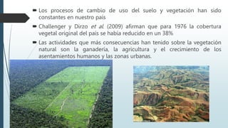  Los procesos de cambio de uso del suelo y vegetación han sido
constantes en nuestro país
 Challenger y Dirzo et al. (2009) afirman que para 1976 la cobertura
vegetal original del país se había reducido en un 38%
 Las actividades que más consecuencias han tenido sobre la vegetación
natural son la ganadería, la agricultura y el crecimiento de los
asentamientos humanos y las zonas urbanas.
 