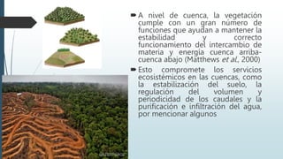 A nivel de cuenca, la vegetación
cumple con un gran número de
funciones que ayudan a mantener la
estabilidad y correcto
funcionamiento del intercambio de
materia y energía cuenca arriba-
cuenca abajo (Matthews et al., 2000)
Esto compromete los servicios
ecosistémicos en las cuencas, como
la estabilización del suelo, la
regulación del volumen y
periodicidad de los caudales y la
purificación e infiltración del agua,
por mencionar algunos
 