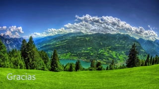 Gracias
 