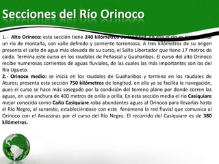 Secciones del Río Orinoco
1.- Alto Orinoco: esta sección tiene 240 kilómetros de longitud. En ella el río es típicamente
un río de montaña, con valle definido y corriente torrentosa. A tres kilómetros de su origen
presenta el salto de agua más elevada de su curso, el Salto Libertador que tiene 17 metros de
caída. Termina este curso en los raudales de Peñascal y Guaharibos. El curso del alto Orinoco
recibe numerosas corrientes de aguas fluviales, de las cuales las más importantes son las del
Río Ugueto.
2.- Orinoco medio: se inicia en los raudales de Guaharibos y termina en los raudales de
Atures; presenta esta sección 750 kilómetros de longitud, en ella ya se facilita la navegación,
pues el curso se hace más sosegado por la condición del terreno plano por donde corren las
aguas, en una anchura de 400 metros de orilla a orilla. En esta sección media el río Casiquiare
mejor conocido como Caño Casiquiare roba abundantes aguas al Orinoco para llevarlas hasta
el Río Negro, al suroeste, estableciéndose con este fenómeno la red fluvial que comunica al
Orinoco con el Amazonas por el curso del Río Negro. El recorrido del Casiquiare es de 380
kilómetros.

 
