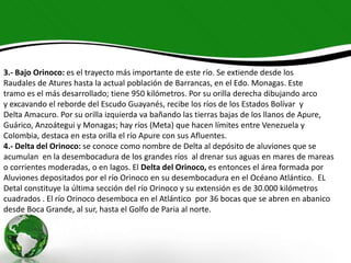 3.- Bajo Orinoco: es el trayecto más importante de este río. Se extiende desde los
Raudales de Atures hasta la actual población de Barrancas, en el Edo. Monagas. Este
tramo es el más desarrollado; tiene 950 kilómetros. Por su orilla derecha dibujando arco
y excavando el reborde del Escudo Guayanés, recibe los ríos de los Estados Bolívar y
Delta Amacuro. Por su orilla izquierda va bañando las tierras bajas de los llanos de Apure,
Guárico, Anzoátegui y Monagas; hay ríos (Meta) que hacen límites entre Venezuela y
Colombia, destaca en esta orilla el río Apure con sus Afluentes.
4.- Delta del Orinoco: se conoce como nombre de Delta al depósito de aluviones que se
acumulan en la desembocadura de los grandes ríos al drenar sus aguas en mares de mareas
o corrientes moderadas, o en lagos. El Delta del Orinoco, es entonces el área formada por
Aluviones depositados por el río Orinoco en su desembocadura en el Océano Atlántico. EL
Detal constituye la última sección del río Orinoco y su extensión es de 30.000 kilómetros
cuadrados . El río Orinoco desemboca en el Atlántico por 36 bocas que se abren en abanico
desde Boca Grande, al sur, hasta el Golfo de Paria al norte.

 