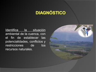 Identifica la situación
ambiental de la cuenca, con
el fin de establecer las
potencialidades, conflictos y
restricciones de los
recursos naturales.
 