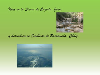 Nace en la Sierra de Cazorla, Jaén,




y desemboca en Sanlúcar de Barrameda, Cádiz.
 