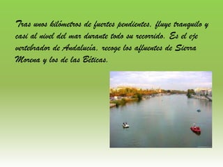Tras unos kilómetros de fuertes pendientes, fluye tranquilo y
casi al nivel del mar durante todo su recorrido. Es el eje
vertebrador de Andalucía, recoge los afluentes de Sierra
Morena y los de las Béticas.
 