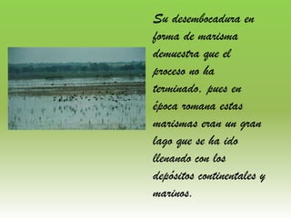 Su desembocadura en
forma de marisma
demuestra que el
proceso no ha
terminado, pues en
época romana estas
marismas eran un gran
lago que se ha ido
llenando con los
depósitos continentales y
marinos.
 