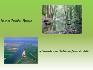 Nace en Fontibre, Reinosa




                            y Desemboca en Tortosa en forma de delta.
 