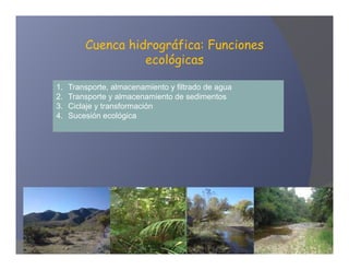 Cuenca hidrográfica: Funciones
                   ecológicas

1.   Transporte, almacenamiento y filtrado de agua
2.   Transporte y almacenamiento de sedimentos
3.   Ciclaje y transformación
4.   Sucesión ecológica
 