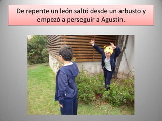De repente un león saltó desde un arbusto y
empezó a perseguir a Agustín.
 