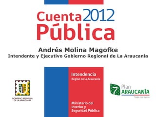 Andrés Molina Magofke
Intendente y Ejecutivo Gobierno Regional de La Araucanía
 