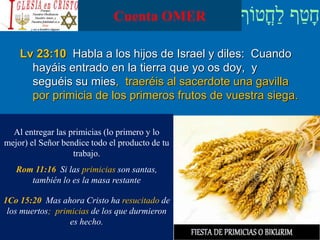 Cuenta OMER
Lv 23:10 Habla a los hijos de Israel y diles: Cuando
hayáis entrado en la tierra que yo os doy, y
seguéis su mies, traeréis al sacerdote una gavilla
por primicia de los primeros frutos de vuestra siega.
Al entregar las primicias (lo primero y lo
mejor) el Señor bendice todo el producto de tu
trabajo.
Rom 11:16 Si las primicias son santas,
también lo es la masa restante
1Co 15:20 Mas ahora Cristo ha resucitado de
los muertos; primicias de los que durmieron
es hecho.
 