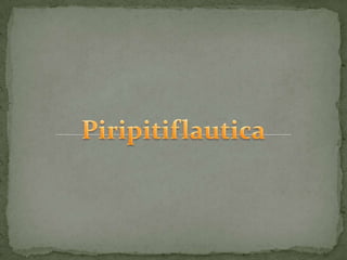 Piripitiflautica,[object Object]