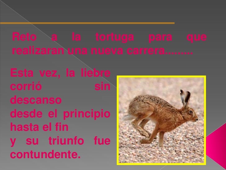 Cuento EL CONEJO Y LA LIEBRE
