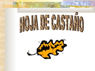 HOJA DE CASTAÑO 