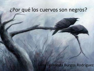¿Por qué los cuervos son negros?




            Ana Fernanda Burgos Rodríguez
 