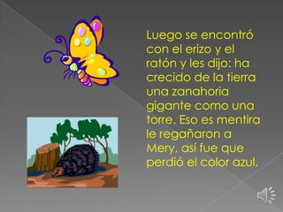 Luego se encontró
con el erizo y el
ratón y les dijo: ha
crecido de la tierra
una zanahoria
gigante como una
torre. Eso es mentira
le regañaron a
Mery, así fue que
perdió el color azul.

 